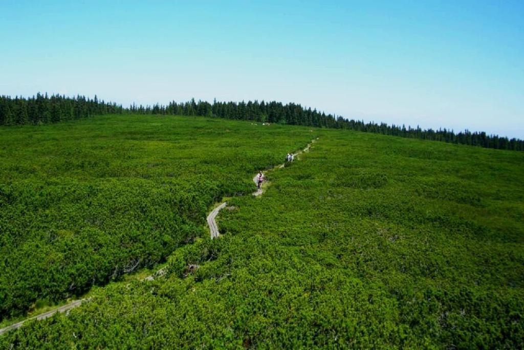 ZrečeApartma Arnika Rogla, Turisticno Naselje Nune Resnik, Resnik 110アパートメント 部屋 写真