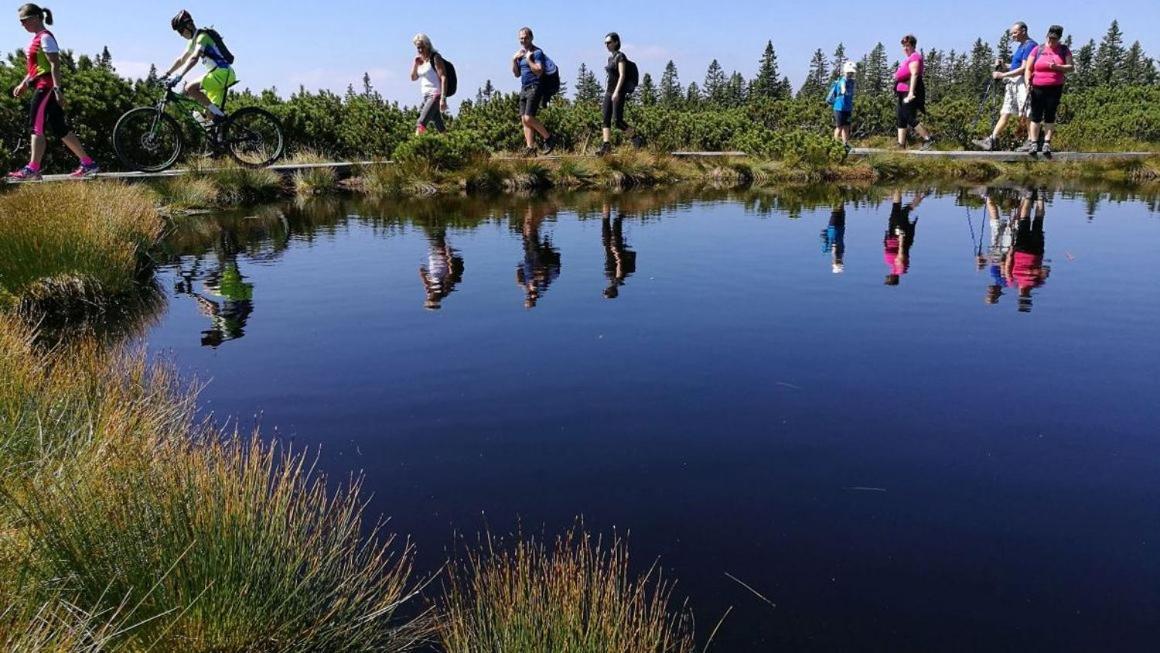 ZrečeApartma Arnika Rogla, Turisticno Naselje Nune Resnik, Resnik 110アパートメント エクステリア 写真